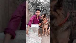 2020 calendar 😂😂 Lockdown or December shorts Akash comedy videos [upl. by Atiana]