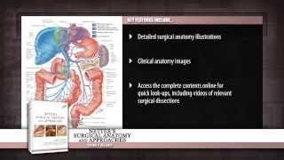 Netters Surgical Anatomy and Approaches [upl. by Melisenda]