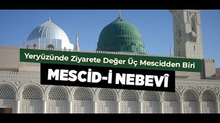 MESCİDİ NEBEVÎ İMAMINDAN GAZZE İÇİN KUNUT DUÂSI [upl. by Keller]