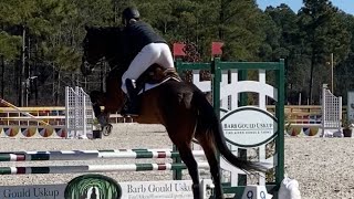 My SJ round from the Aiken opener horse trials 12024 voiceover [upl. by Nnylcaj]