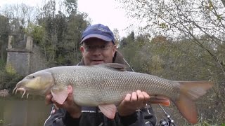 River Severn Barbel Fishing 4 [upl. by Anahsak163]