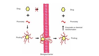 Prodrug41 [upl. by Lorollas]