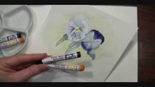 DANIEL SMITH Pansy Watercolor Sticks quotHow Toquot Tips [upl. by Erdnaek413]