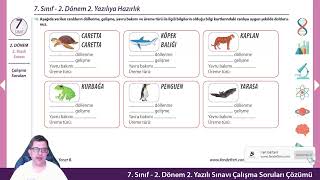 Fen Bilimleri  7 Sınıf 2 Dönem 2 Yazılı Hazırlık Soruları Çözümleri [upl. by Goles708]