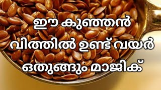 ഈ കുഞ്ഞൻ വിത്തുപയോഗിച് ഒരുമാസം കൊണ്ട് വയറു കുറക്കാം Flaxseed water to reduce belly fat in a month [upl. by Gardia]