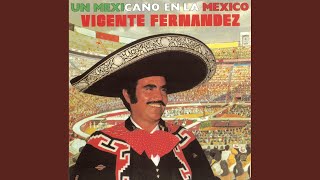 Vicente Fernández  De Parte de Quien Cover Audio [upl. by Jaquith834]