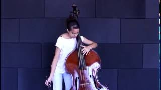 Domenico Dragonetti Double Bass concerto  MOV I [upl. by Clifton]