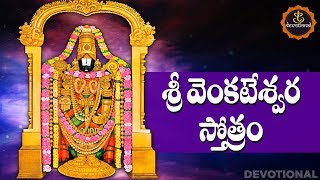 SRI VENKATESWARA STOTRAM TELUGU LYRICS AND MEANINGS [upl. by Conlan279]