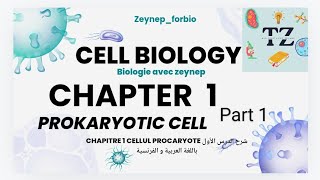 📍chapitre 1 Biologie cellulaire  La cellule procaryote part 1📍SNVmédecine agronomie شرح مبسط [upl. by Vanya]