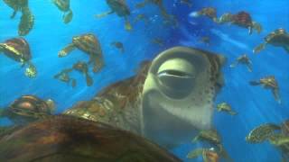 FINDING NEMO Live Action 2025  Teaser Trailer  Official Disney LiveAction [upl. by Nnilsia]