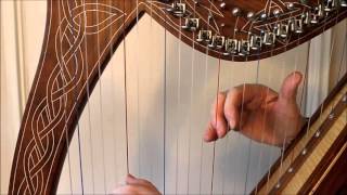 Harpist Regina Ederveen plays Brian Boru March for beginners [upl. by Ecnarepmet]