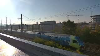 Railcam Highlights of 24102024  ICEs REs Freight trains amp much more [upl. by Vaios]