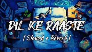 Dil Ke Raaste  Slowed  Reverb  New Hindi Song  Lofi Reverb [upl. by Neelrak]