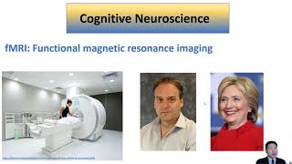 Cognitive Neuroscience [upl. by Heall]