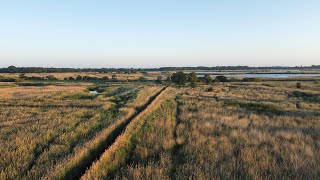 Hickling Broad  Norfolk Wildlife Trust [upl. by Infeld]