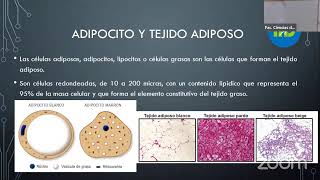 Curso Nutrición Deportiva [upl. by Reyna866]