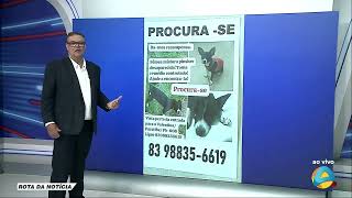 Rota da Notícia  Cuidadores procuram por cachorrinha desaparecida [upl. by Venus]