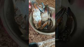 Crab Meat Pakoda bluecrab crabmeat seafood cooking shorts ytshorts [upl. by Lilith158]