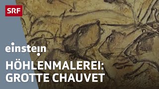 Höhlenmalereien in der Grotte Chauvet amp Anatomie der Paviane  Einstein  SRF [upl. by Noral]