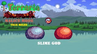 Terraria Calamity Malice mode True melee Slime God [upl. by Hilde]