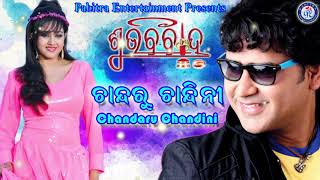 Chandaru Chandini  Odia Movie Song  Subha Bibaha  UditNarayan Ollywood [upl. by Enorel649]