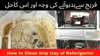 How To Clean Refrigerator Fridge Freezer Drip Tray Drain Waste Tank  Fridge Saaf Krny Ka Tarika [upl. by Avot]