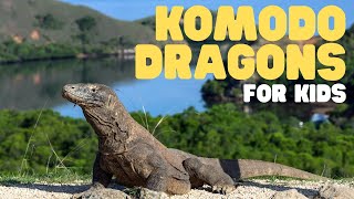 Komodo Dragons for Kids  Learn all about these apex predators [upl. by Carisa]