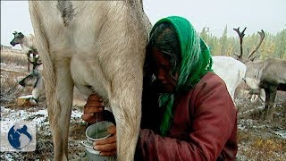 Nomadic tribes of Mongolia Part 2 [upl. by Weasner]