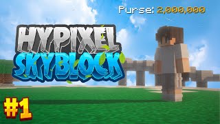 HYPIXEL SKYBLOCK 1  HINDI [upl. by Otsuj253]