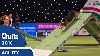 Agility  Championship Final  Crufts 2018 [upl. by Queenie799]