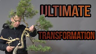 Ultimate transformation [upl. by Llehcar]