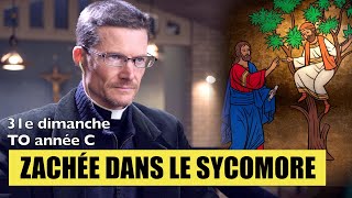 ZACHÉE DANS LE SYCOMORE Luc 19110 dimanche 30 octobre 2022 homélie  étude biblique [upl. by Adyeren]