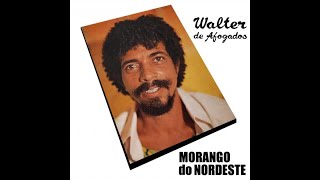 Walter de Afogados  Morango do Nordeste  CompletoOficial [upl. by Tama]