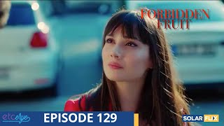 Forbidden Fruit Episode 129  FULL EPISODE  TAGALOG DUB  Turkish Drama [upl. by Sisco]