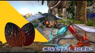 ARK CRYSTAL ISLES EP12 CRYSTAL WYVERN EGGS MOTH TAMING [upl. by Nelac]