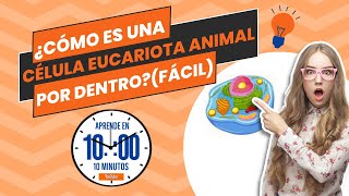 ¿Cómo es una célula eucariota animal por DENTRO FÁCIL [upl. by Anuait302]