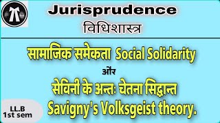 सामाजिक समेकता Social Solidarity सैविनी के अन्तः चेतना सिद्धान्त Savignys Volksgeist theory [upl. by Suriaj]