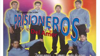 OMETEPEC GRO  PRISIONEROS DEL AMOR  TU FALSO AMORwmv [upl. by Tannenbaum483]