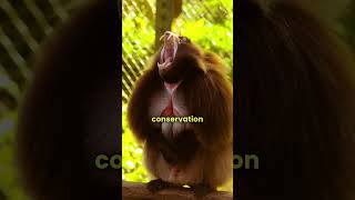 Amazing Animal Encounters at Colchester Zoo  MustSee Moments [upl. by Norraf]