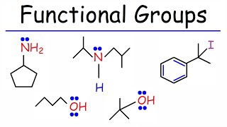 Functional Groups  Primary Secondary Tertiary  Alcohols Amines amp Alkyl Halides [upl. by Ennywg]