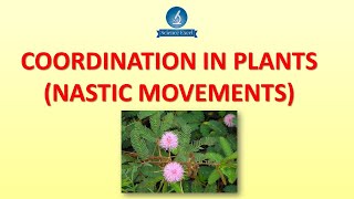 Coordination in plants nastic movements  Science Excel [upl. by Chelsie511]