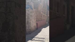 Chania Greece travel tourism tourist chaniya greece shorts [upl. by Goerke603]