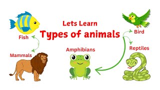 Types of Animals for Kids  Types of Animals for Kindergarten  Mastering Animal Classification [upl. by Ynatirb]