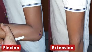 Movement of Elbow Joint  Flexion and Extension  The Charsi of Medical Literature [upl. by Nwahsak]