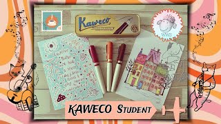 KAWECO STUDENT FOUNTAIN PEN WITH INK ART ILLUSTRATION amp LETTERING kaweco fountainpen inkdrawing [upl. by Mariken399]