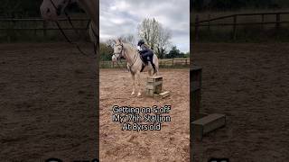 Getting on amp off 17hh Stallion horse horseriding equestrian pony showjumping horselover [upl. by Adnauqahs]