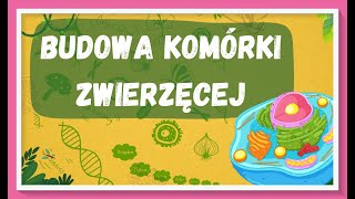 Budowa komórki zwierzęcej  lekcja biologii dla klasy 5 [upl. by Bina]