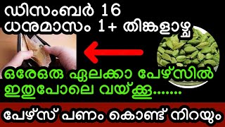 പേഴ്സ് പണം കൊണ്ട് നിറയും നാളെ ധനുമാസം 1 ആം തീയതി പേഴ്സിൽ ഇതുപോലെ ഒരു ഏലക്കാ വയ്ക്കൂ viral [upl. by Christmas]