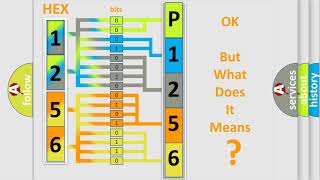 DTC Volkswagen P1256 Short Explanation [upl. by Reggie]