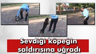 Belediye Başkanı Sevdiği Köpeğin Saldırısına Uğradı [upl. by Atteloj726]